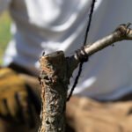 Japanese Garden Twine - Shuronawa