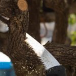 silky_pruning_saw_sugoi_360_mm_1 Silky Pruning Saw Sugoi 360 mm