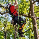 silky_pruning_saw_sugoi_360_mm_6 Silky Pruning Saw Sugoi 360 mm